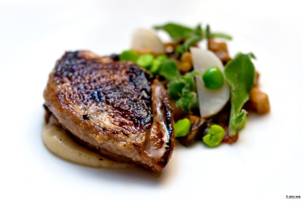 Kimme 02 BBQ Quail WM