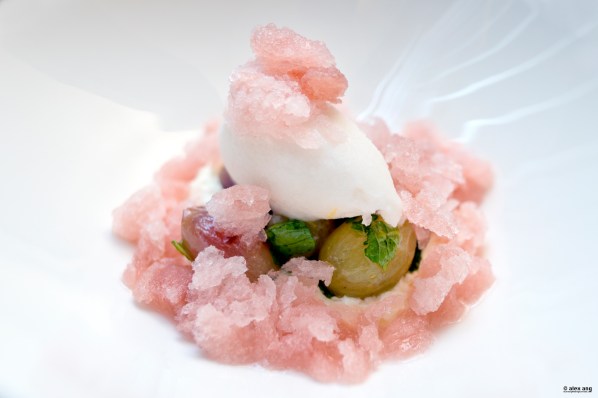 Kimme 06 Makgeoli Sorbet WM